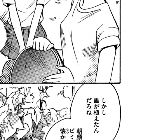 あさがおと加瀬さん